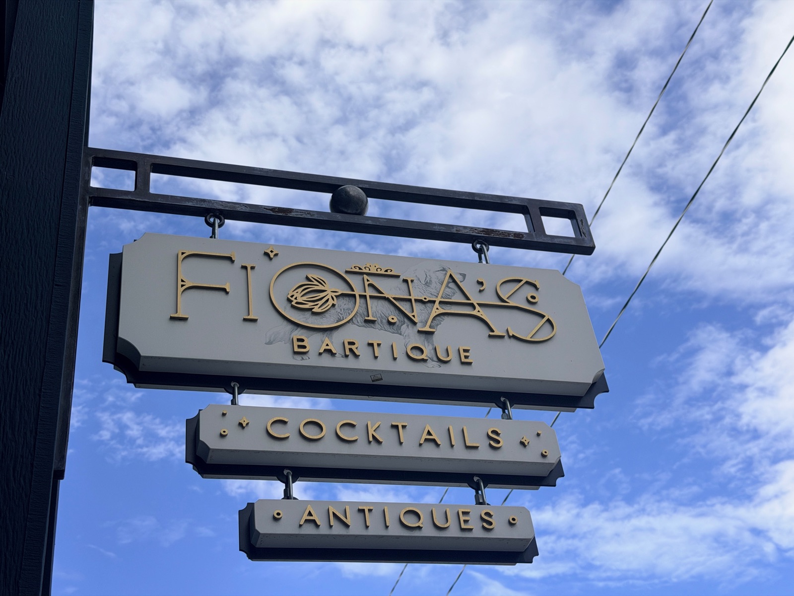 The Fiona's Bartique sign outside 130 Grand Ave, Paonia, Colorado